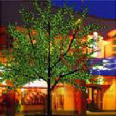 led樹燈,什么是led樹燈,LED樹燈價格說明,LED樹燈的材質介紹